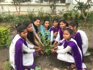 343194382_212208638197415_8240571117841288308_n